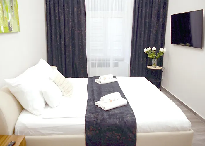 Apartmán Euro Křenová 75 *