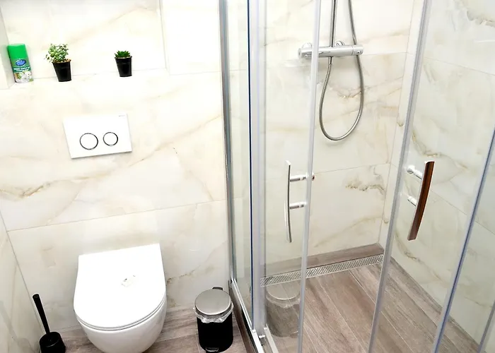 Apartmán Euro Křenová 75