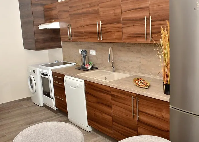 Apartmán Euro Křenová 75