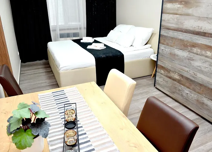 Apartmán Euro Křenová 75 *