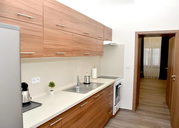 Euro Křenová 75 Apartmán